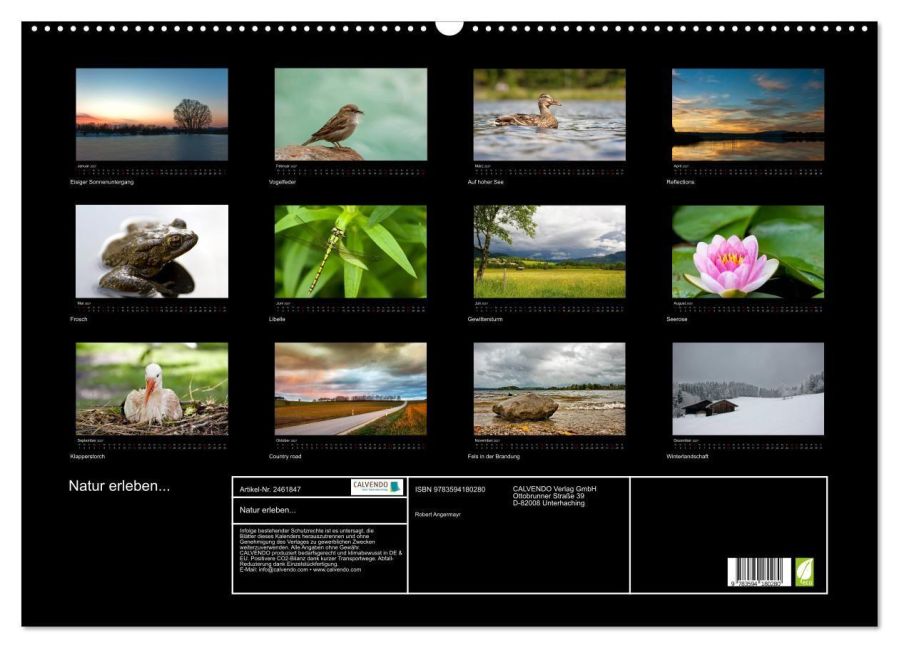 InsideView 5