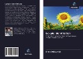 Cover-Bild zum Titel 'Lokale identiteiten' von 'Elena Dziakovich'