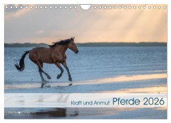 Cover-Bild zum Titel 'Pferde 2026 Kraft und Anmut (Wandkalender 2026 DIN A4 quer), CALVENDO Monatskalender' von 'Paula Müller'