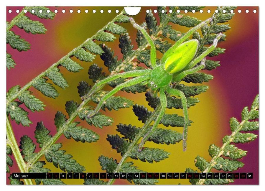 InsideView 10
