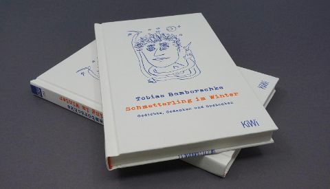 InsideView 1