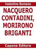 Cover-Bild zum Titel 'Nacquero contadini, morirono briganti. Storie del Sud dopo l'Unità dimenticate negli archivi' von 'Valentino Romano'