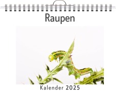 Cover-Bild zum Titel 'Raupen' von 'Samuel Klein'