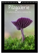 Cover-Bild zum Titel 'Pilzgalerie - Die geheimnisvolle Welt der heimischen Pilze (Wandkalender 2026 DIN A4 hoch), CALVENDO Monatskalender' von 'Beate Wurster'