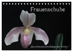 Cover-Bild zum Titel 'Frauenschuhe - die schönsten Orchideen der Welt (Tischkalender 2026 DIN A5 quer), CALVENDO Monatskalender' von 'Holger Rochow'