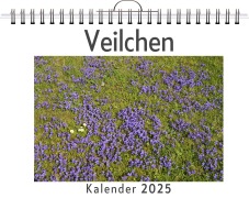 Cover-Bild zum Titel 'Veilchen' von 'Luisa Hartmann'