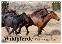 Wildpferde. Frei wie der Wind (Wandkalender 2025 DIN A4 quer), CALVENDO Monatskalender - Elisabeth Stanzer