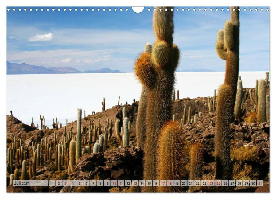 InsideView 12