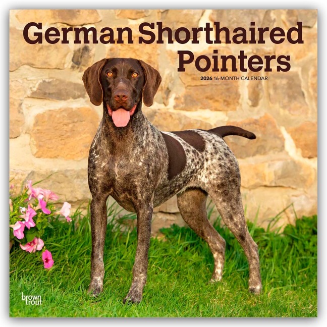 German Shorthaired Pointers - Deutsch Kurzhaar 2026 - 16-Monatskalender - Browntrout Publishers