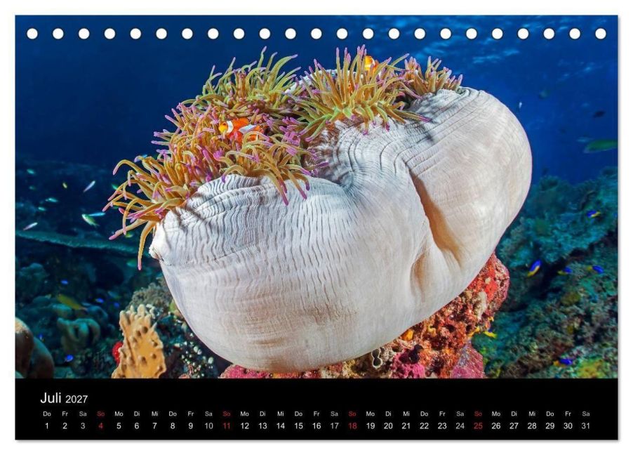 InsideView 12