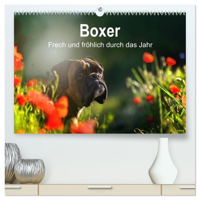 Boxer Frech und fröhlich durch das Jahr (hochwertiger Premium Wandkalender 2026 DIN A2 quer), Kunstdruck in Hochglanz - Yvonne Janetzek