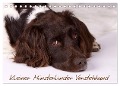 Kleiner Münsterländer Vorstehhund (Tischkalender 2025 DIN A5 quer), CALVENDO Monatskalender - Nadine Gerlach