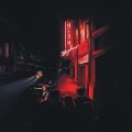 Cover-Bild zum Titel 'The Neon Skyline' von 'Andy Shauf'