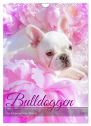 Cover-Bild zum Titel 'Bulldoggen (Wandkalender 2026 DIN A4 hoch), CALVENDO Monatskalender' von 'Steffen Gierok-Latniak'