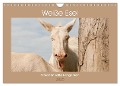 Weiße Esel - Märchenhafte Langohren (Wandkalender 2025 DIN A4 quer), CALVENDO Monatskalender - Meike Bölts