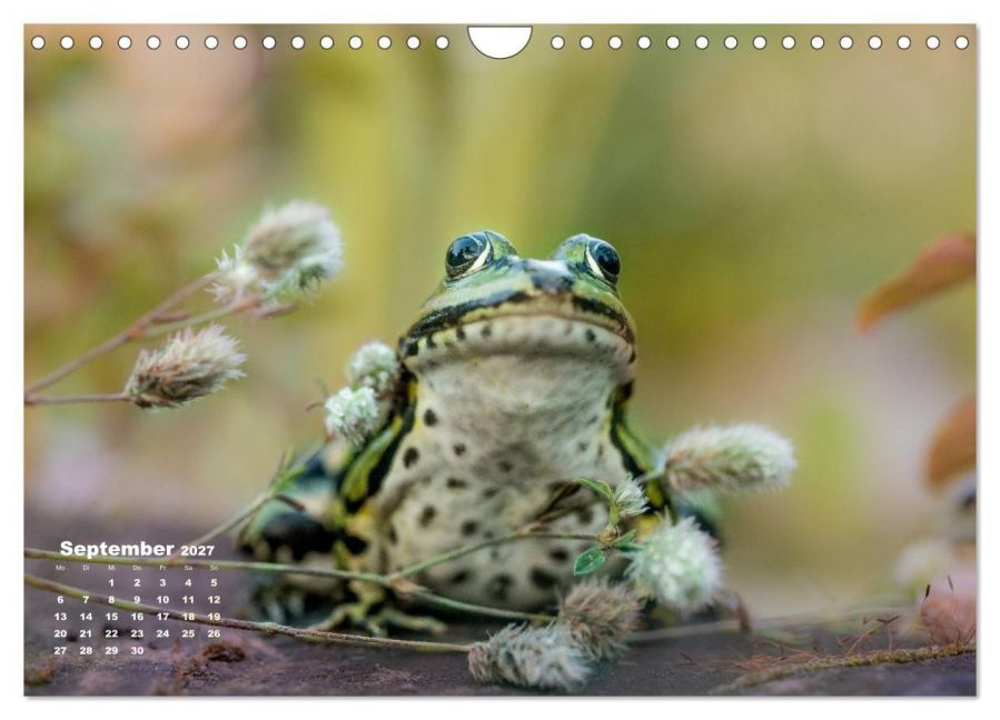InsideView 14