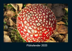 Cover-Bild zum Titel 'Pilzkalender 2025 Fotokalender DIN A4' von 'Tobias Becker'