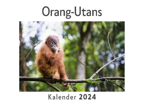 Orang-Utans (Wandkalender 2024, Kalender DIN A4 quer, Monatskalender im Querformat mit Kalendarium, Das perfekte Geschenk) - Anna Müller
