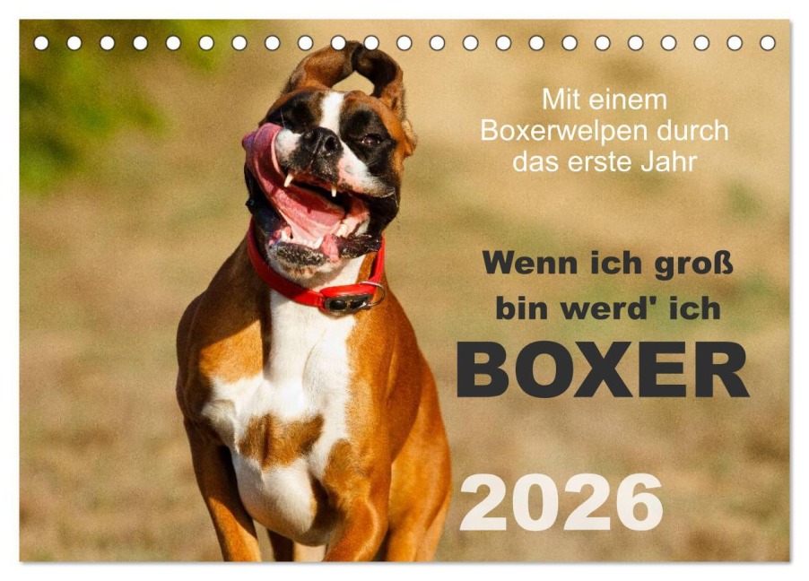 Wenn ich groß bin werd' ich Boxer (Tischkalender 2026 DIN A5 quer), CALVENDO Monatskalender - Kerstin Mielke Wenn ich groß bin werd' ich Boxer (Tischkalender 2026 DIN A5 quer), CALVENDO Monatskalender - Kerstin Mielke