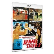 Cover-Bild zum Titel 'Karate Tiger 2 - Raging Thunder' von 'Maria Elena Cellino, Roy Horan, Keith W. Strandberg, David Spear'