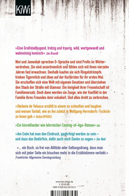 InsideView 1