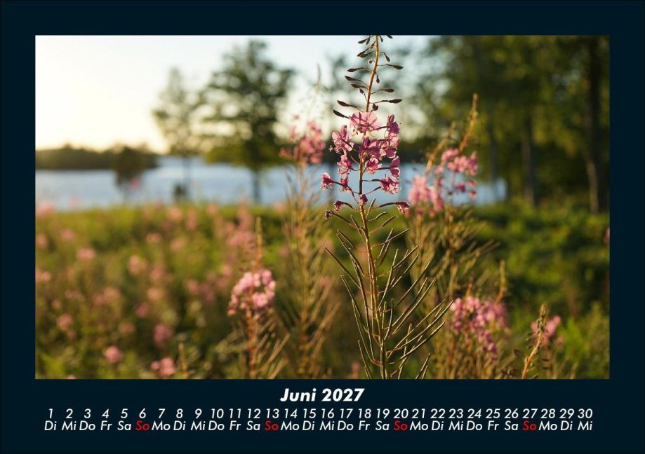 InsideView 10