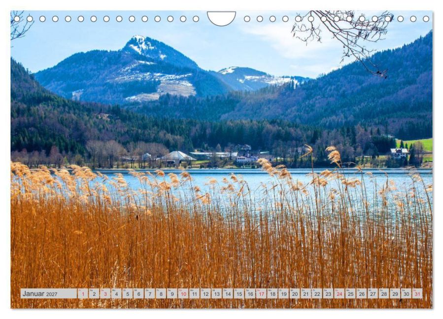 InsideView 6