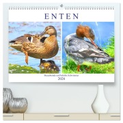 Cover-Bild zum Titel 'Enten. Bezaubernde und beliebte Schwimmer (hochwertiger Premium Wandkalender 2026 DIN A2 quer), Kunstdruck in Hochglanz' von 'Rose Hurley'