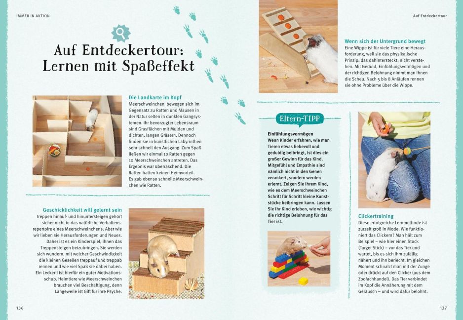 InsideView 10