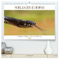 Schlangen Europas (hochwertiger Premium Wandkalender 2024 DIN A2 quer), Kunstdruck in Hochglanz - Wolfgang Simlinger