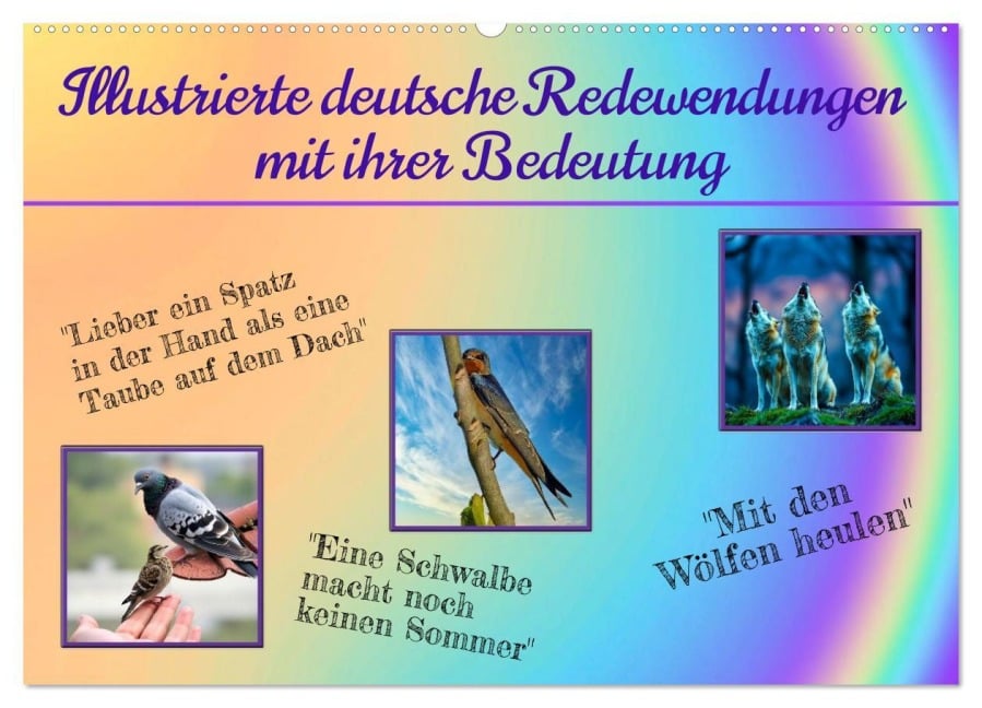 Illustrierte deutsche Redewendungen mit ihrer Bedeutung (Wandkalender 2026 DIN A2 quer), CALVENDO Monatskalender - Claudia Kleemann