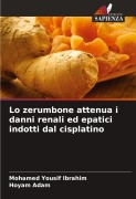 Cover-Bild zum Titel 'Lo zerumbone attenua i danni renali ed epatici indotti dal cisplatino' von 'Mohamed Yousif Ibrahim, Hoyam Adam'