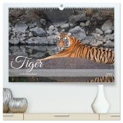 Cover-Bild zum Titel 'Tiger von Ranthambore (hochwertiger Premium Wandkalender 2026 DIN A2 quer), Kunstdruck in Hochglanz' von 'Robert Styppa'