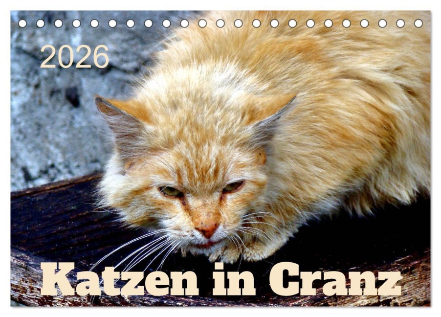 Katzen in Cranz (Tischkalender 2026 DIN A5 quer), CALVENDO Monatskalender - Henning von Löwis of Menar