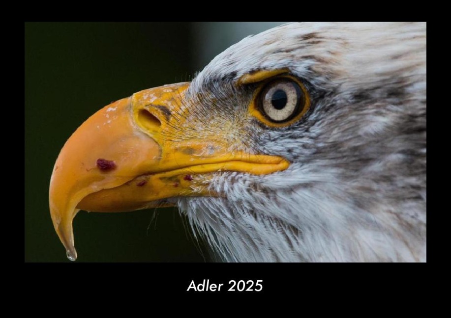 Adler 2025 Fotokalender DIN A3 - Tobias Becker