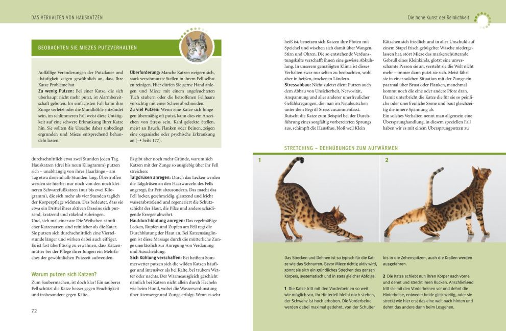 InsideView 6