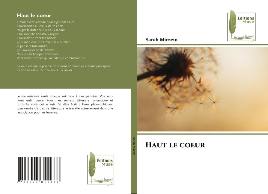 Haut le coeur - Sarah Mirzein