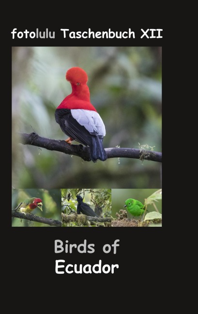 Birds of Ecuador - Fotolulu