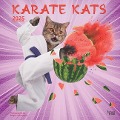 Karate Cats Official 2025 12 X 24 Inch Monthly Square Wall Calendar Plastic-Free - Browntrout