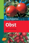 Cover-Bild zum Titel 'Taschenatlas Obst' von 'Manfred Fischer, Hans J. Albrecht, Martin Geibel'