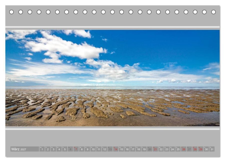 InsideView 8