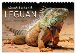 Cover-Bild zum Titel 'Wunderschöner Leguan (Wandkalender 2026 DIN A3 quer), CALVENDO Monatskalender' von 'Peter Roder'