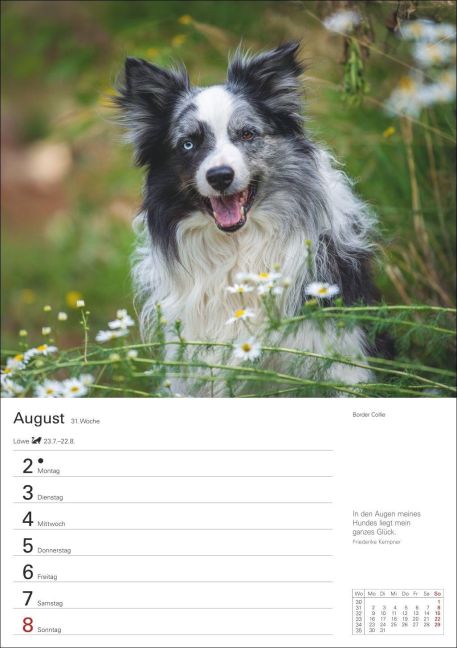InsideView 12