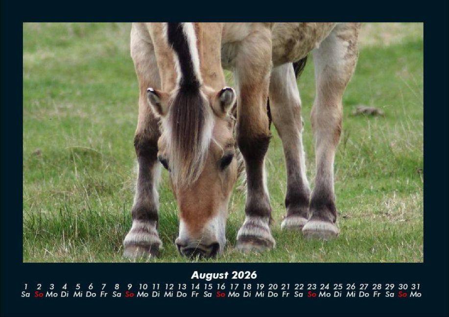 InsideView 12