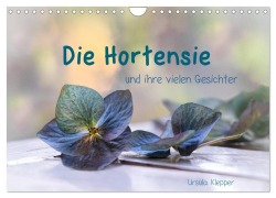 Die Hortensie und ihre vielen Gesichter (Wandkalender 2026 DIN A4 quer), CALVENDO Monatskalender - Ursula Klepper