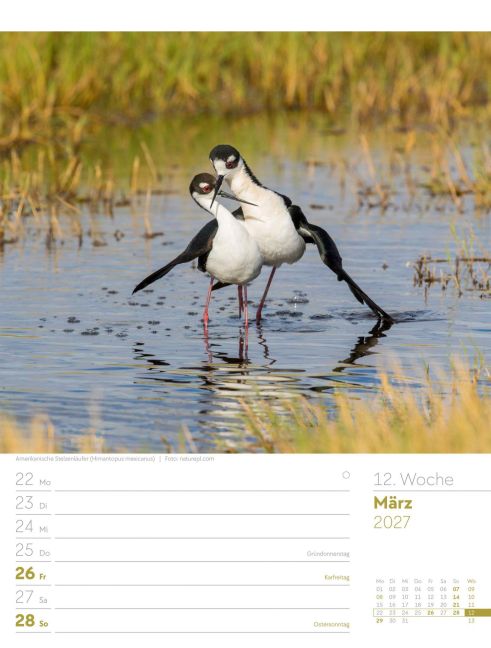 InsideView 16