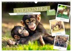 Cover-Bild zum Titel 'TIERKINDER Abenteuer Wildnis (Wandkalender 2026 DIN A3 quer), CALVENDO Monatskalender' von 'Melanie Viola'