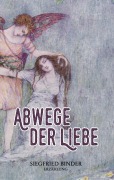 Cover-Bild zum Titel 'Abwege der Liebe' von 'Siegfried Binder'