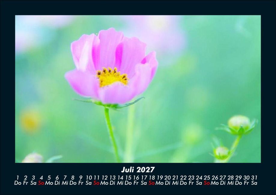 InsideView 11