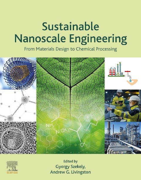 Sustainable Nanoscale Engineering - 